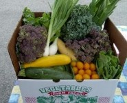 Produce All Summer Long: The CSA Debate