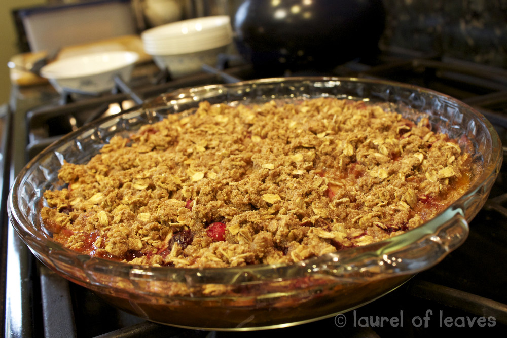 Cranberry Apple Crisp Cranberry Apple Crisp