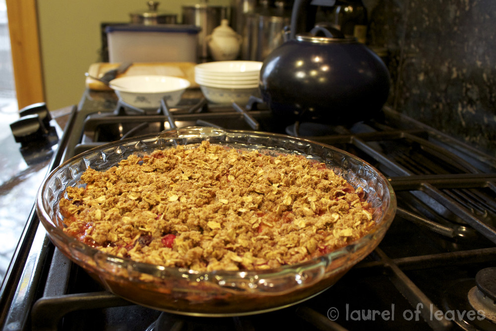 Cranberry Apple Crisp for Breakfast Cranberry Apple Crisp for Breakfast