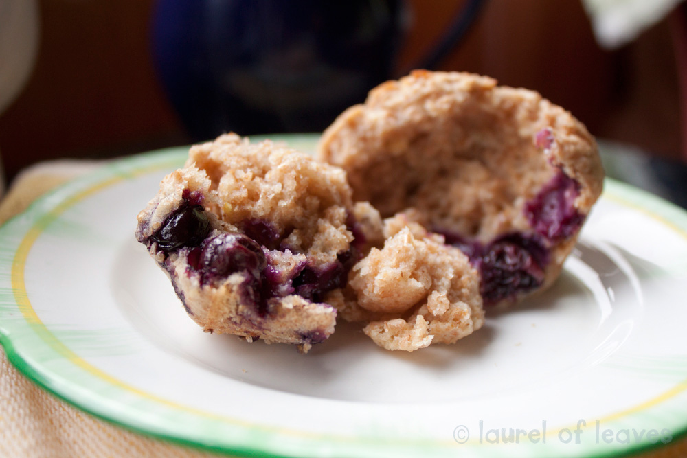 Lemon Blueberry Muffins Ready to Eat Lemon Blueberry Muffins Ready to Eat