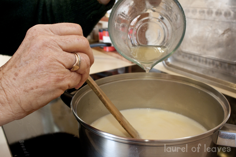 Adding Lemon Juice to Milk to Make Ricotta Cheese Adding Lemon Juice to Milk to Make Ricotta Cheese