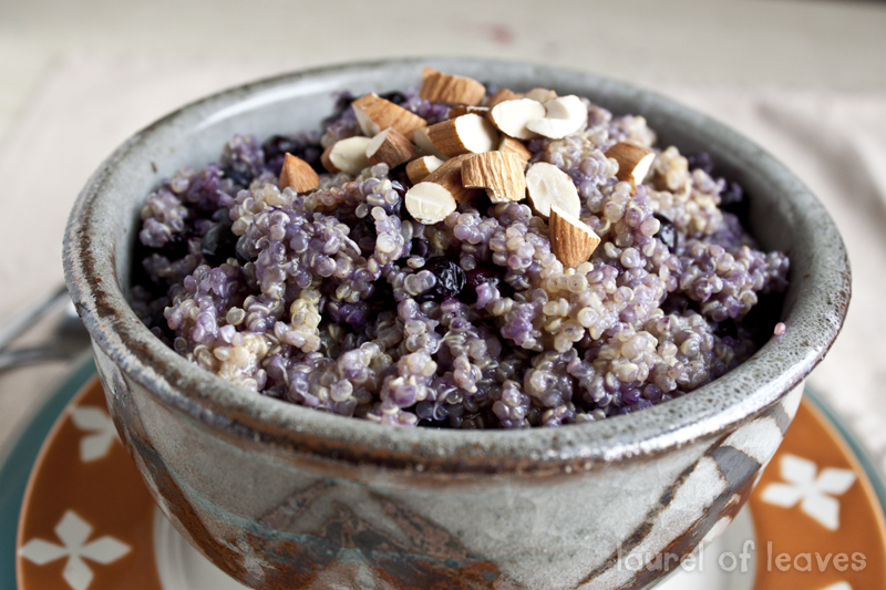 Blueberry Breakfast Quinoa with Almonds & Maple Syrup Blueberry Breakfast Quinoa with Almonds & Maple Syrup